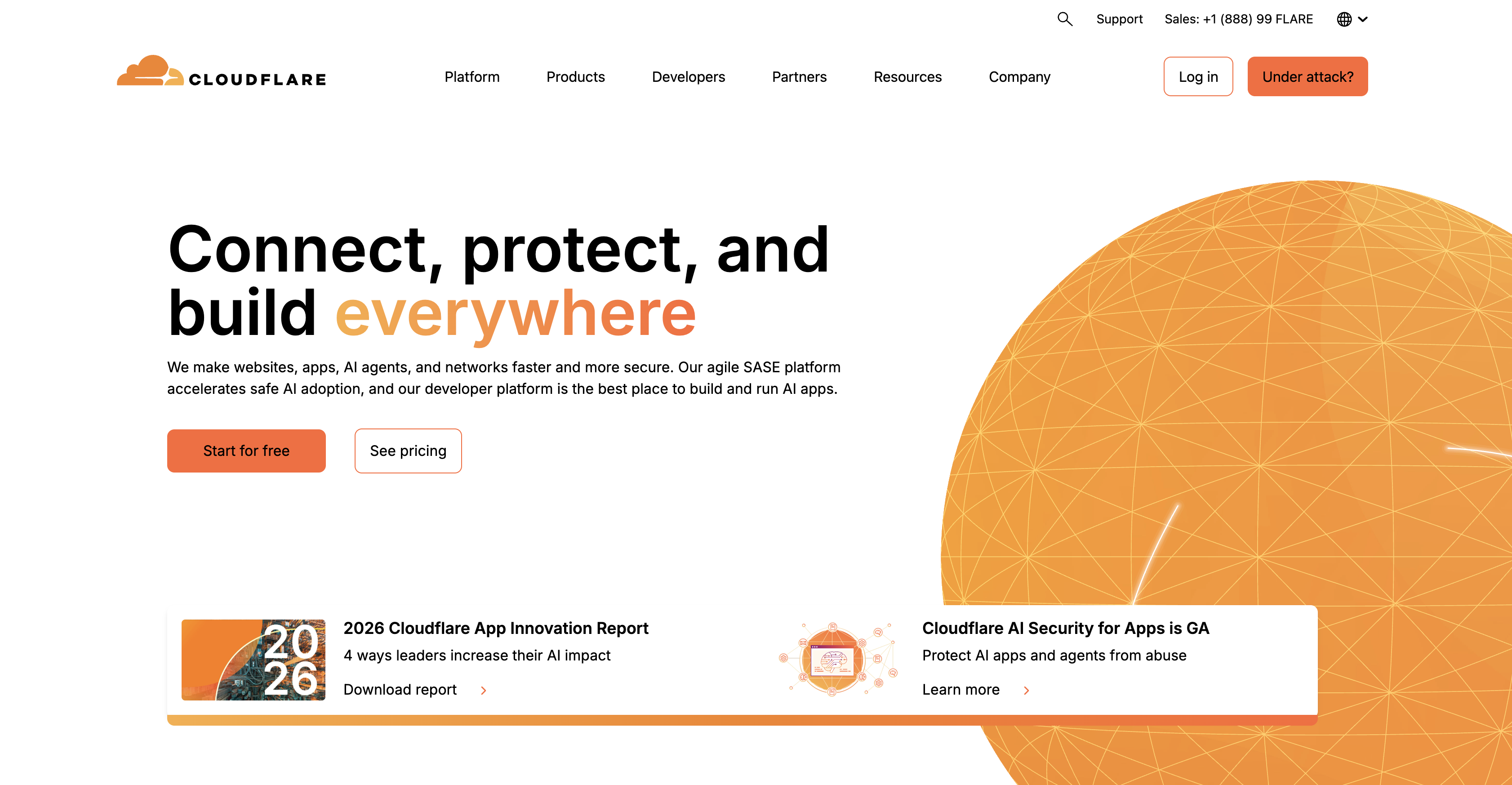 DDoS Protection
